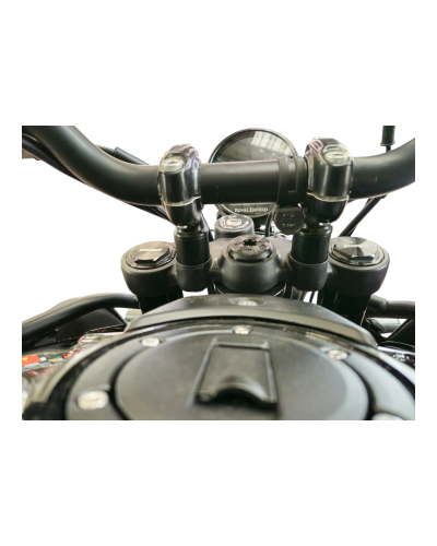 Royal E. Himalayan Gidon Yükseltme